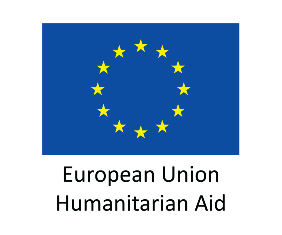 EU_Flag_HA_COLOR_EN.png