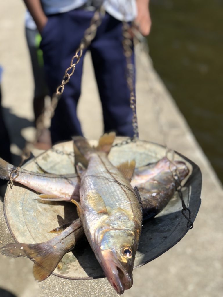 Pesca_artesanal_en_la_Laguna_de_Bacalar_5to_sitio_Ramsar_de_Honduras_2.jpg