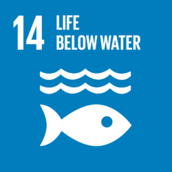 E_SDG-goals_icons-individual-rgb-14 E_SDG-goals_icons-individual-rgb-14