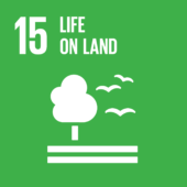 E_SDG-goals_icons-individual-rgb-15 E_SDG-goals_icons-individual-rgb-15