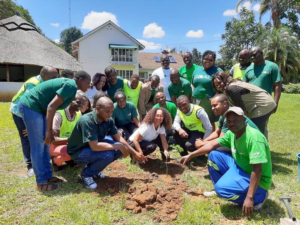 GOAL staff contribute to better environment by planting trees in Zimbabwe GOAL Global