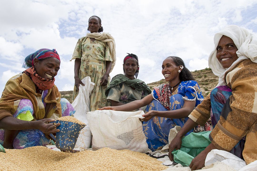 World-Food-Day-2020-Ethiopia