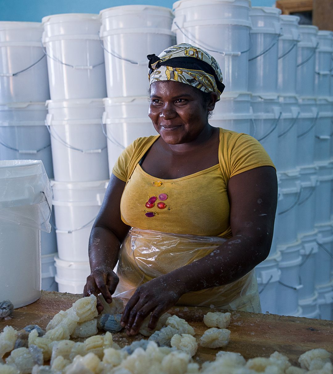 Dans le village Miskito de Cauquira, la coopŽrative KAUMA s'est lancŽ dans la transformation et l'exportation de mŽduses dont raffolent les Chinois. L'entreprise existe depuis deux ans et demi et exporte pour l'instant plus de 350 tonnes, soit un chiffre d'affaire de 260000 $, et permet de faire vivre 800 personnes. Plusieurs organisations de dŽveloppement telles que le PNUD ou USAID financent le projet qui est considŽrŽ comme une des meilleures alternatives Žconomiques pour la rŽgion.
Depuis 40 ans, dans la rŽgion reculŽe de la Moskitia, au Honduras, lÕŽconomie locale et la majoritŽ des emplois dŽpendent de la pche sous-marine ˆ la langouste. Chaque annŽe, le Honduras exporte jusquÕˆ 40 millions de dollars de langoustes vers lÕAmŽrique du Nord. Ces dernires sont ensuite vendus en supermarchŽs et servies dans les cha”nes de restauration. Pourtant la pche sous-marine, pratiquŽe avec des bouteilles d'air comprimŽ, est extrmement dangereuse et entra”ne jusquÕˆ 15 morts par an, ainsi que des dizaines de paralysŽs. Le taux de mortalitŽ de l'activitŽ est comparable ˆ celui des soldats dŽployŽs en Irak, selon les chiffres du dŽpartement de la dŽfense des ƒtats-Unis. La rŽgion de la Moskitia compte actuellement de deux ˆ trois milles plongeurs paraplŽgiques.

In the Miskito village of Cauquira, the KAUMA cooperative is transforming and exporting jellyfish to China, where they are considered a delicacy. The coop was founded 2 and a half years ago and export 350 metric tons a year, 260,000 $ worth. 800 persons economically depend on it. The activity is considered one the best alternative option for the area and receives financing from USAID and UN.
For the past 40 years, the Moskitia, a remote area of Honduras, has based its economy and employment on lobster diving. The lobsters have been exported to the US for decades and are worth 40 million US$ a year. In North America, they are sold in supermarkets and restaurant chains. Ne